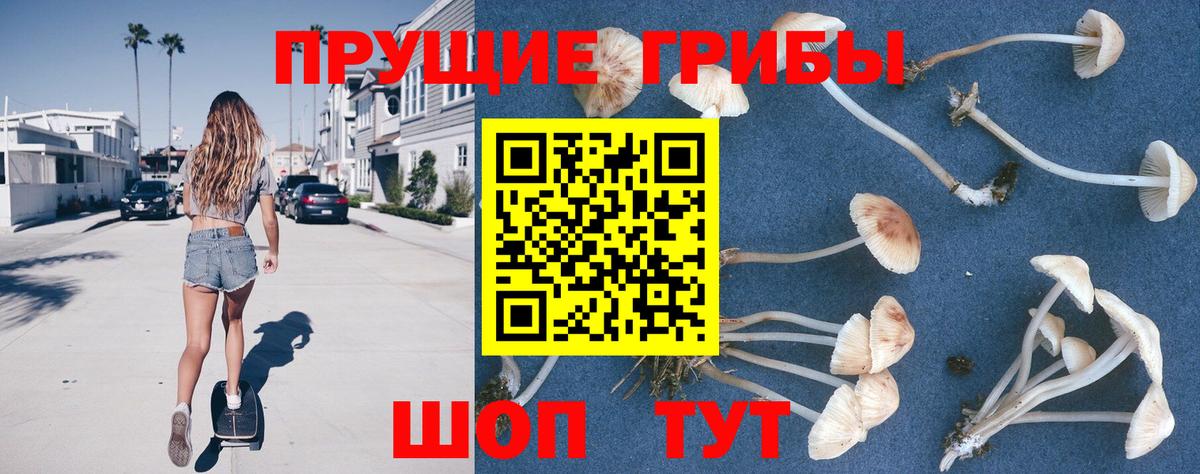 Псилоцибиновые грибы Magic Shrooms  Вход с VPN  Псилоцибиновые грибы Psilocybine cubensis  Амурск 