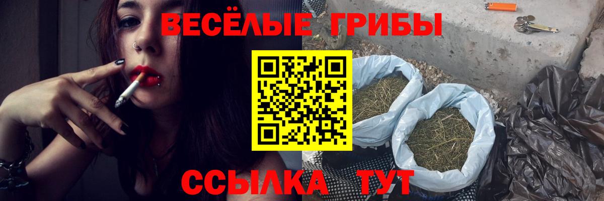 Галлюциногенные грибы Psilocybine cubensis Амурск